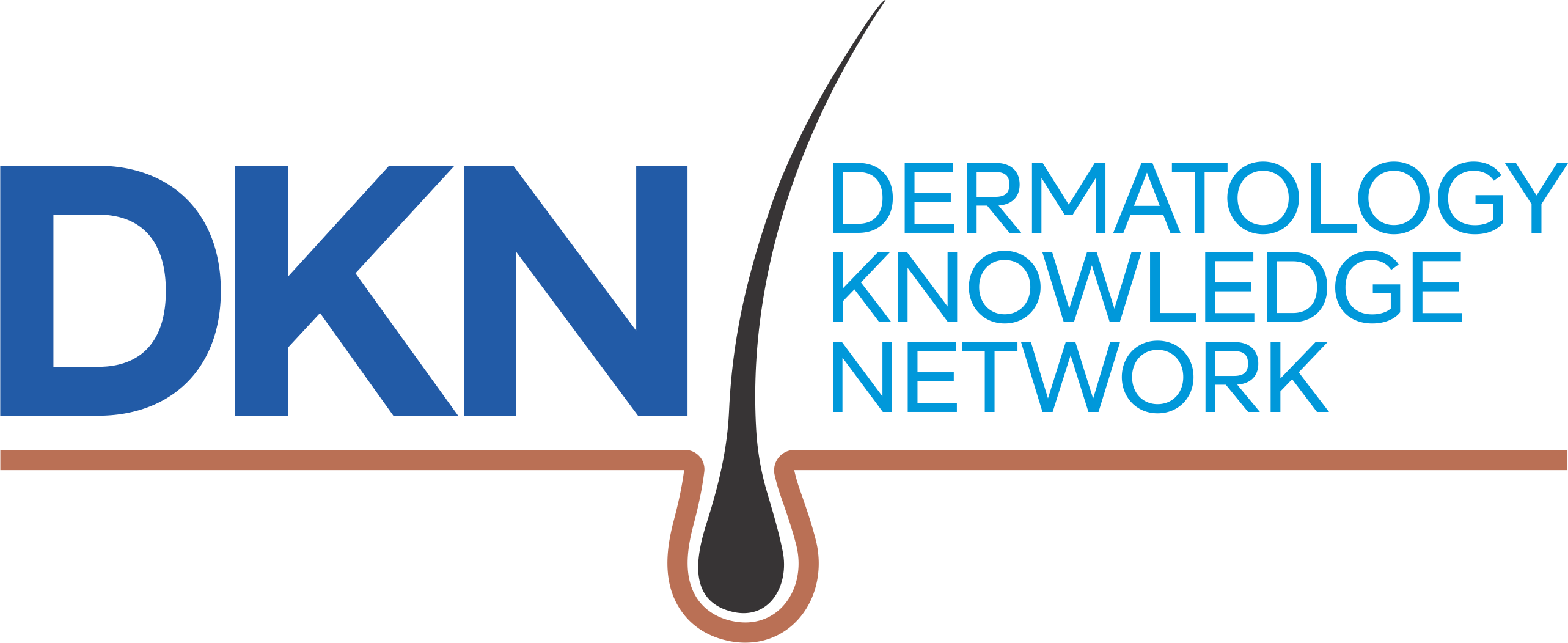 Dermatology Knowledge Network